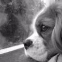 สมาชิกหมายเลข 4046271