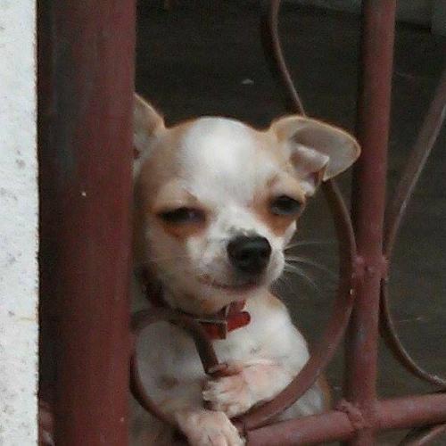 สมาชิกหมายเลข 3299657