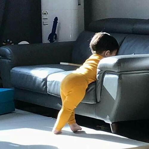 สมาชิกหมายเลข 4509208