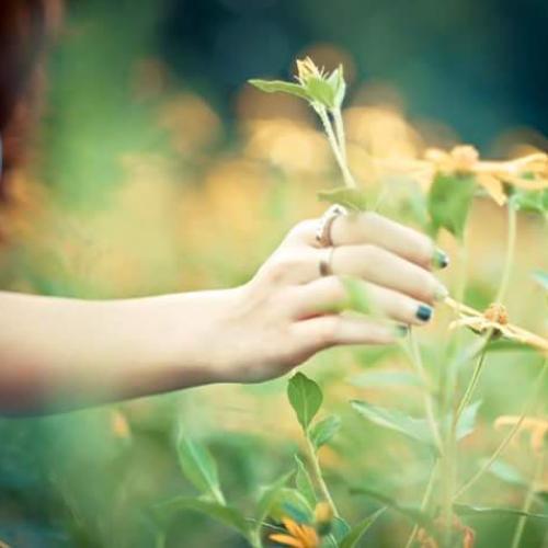 สมาชิกหมายเลข 4844738