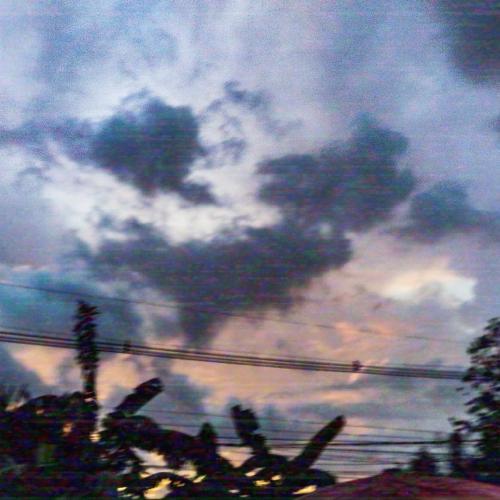 สมาชิกหมายเลข 4845117