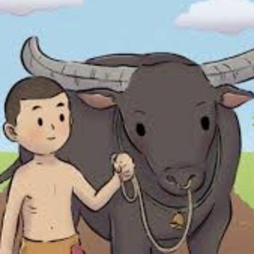 สมาชิกหมายเลข 4421828