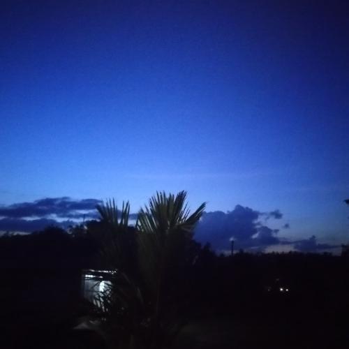 สมาชิกหมายเลข 6232821