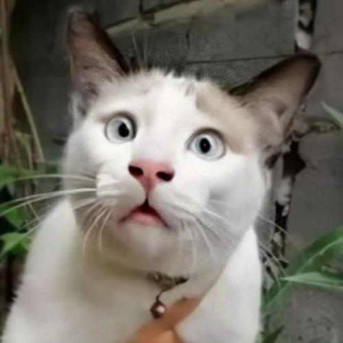 สมาชิกหมายเลข 1549715