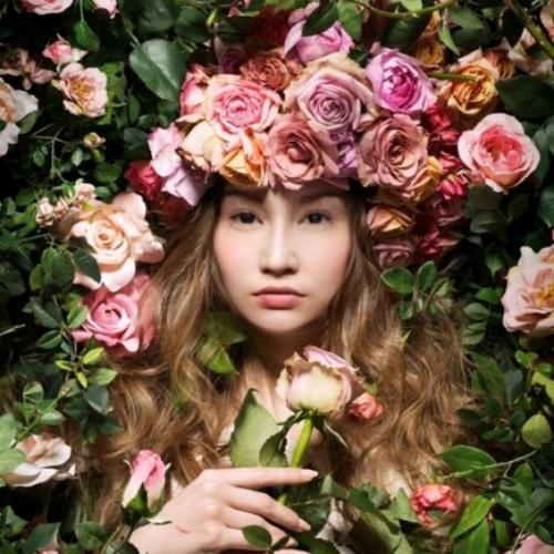 สมาชิกหมายเลข 4844236