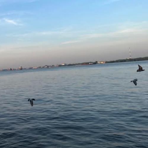 สมาชิกหมายเลข 7980555