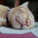 สมาชิกหมายเลข 4059659