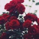 สมาชิกหมายเลข 4509599