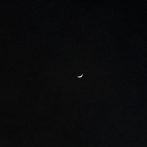 สมาชิกหมายเลข 4509697