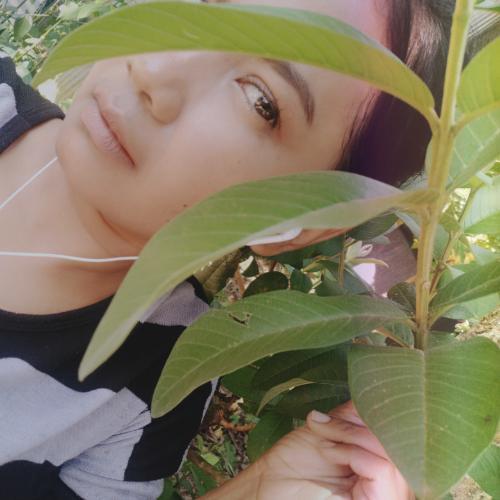 สมาชิกหมายเลข 4845413