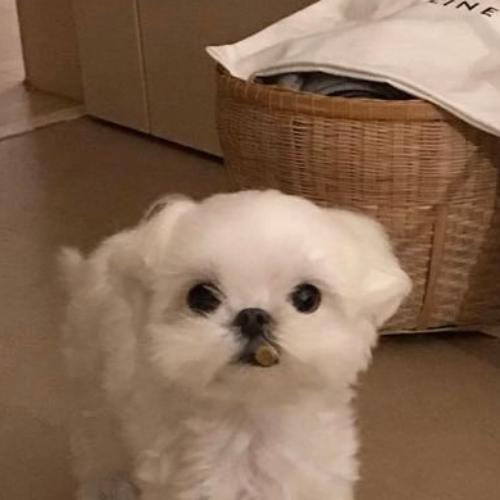 สมาชิกหมายเลข 4043966