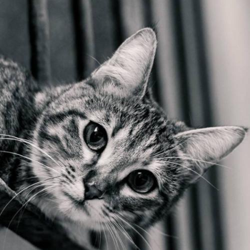 สมาชิกหมายเลข 5167668