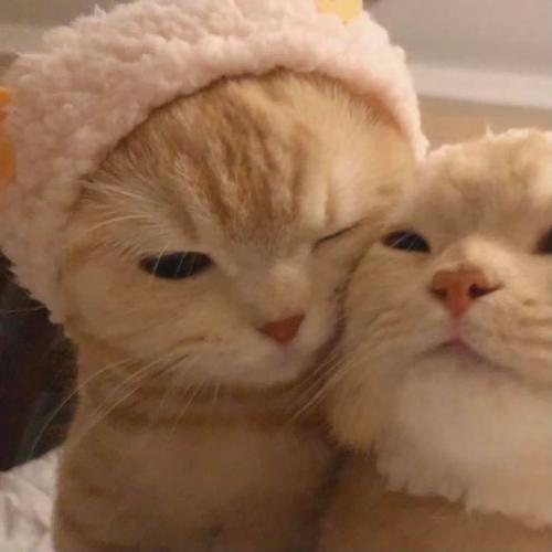 สมาชิกหมายเลข 5730463