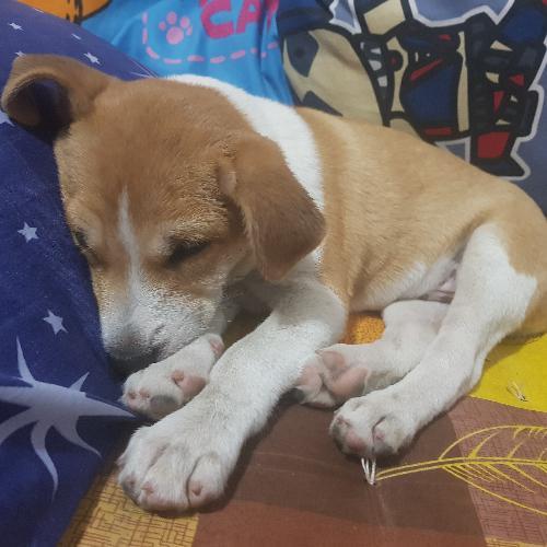 สมาชิกหมายเลข 6233133