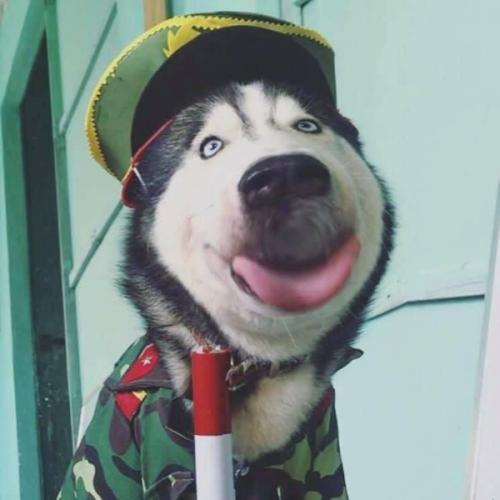 สมาชิกหมายเลข 6233295