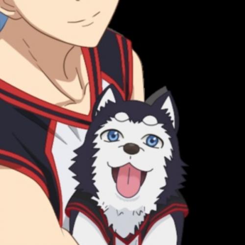 สมาชิกหมายเลข 6233431