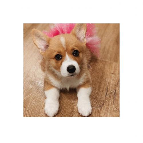 สมาชิกหมายเลข 6233468