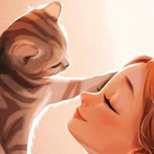 สมาชิกหมายเลข 2838748