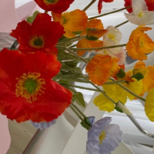 สมาชิกหมายเลข 2264313