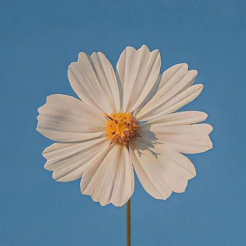 สมาชิกหมายเลข 5822888