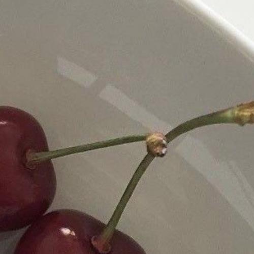 สมาชิกหมายเลข 8556333