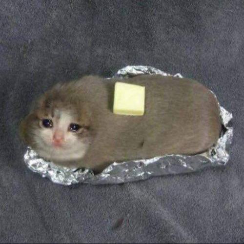 สมาชิกหมายเลข 4845644