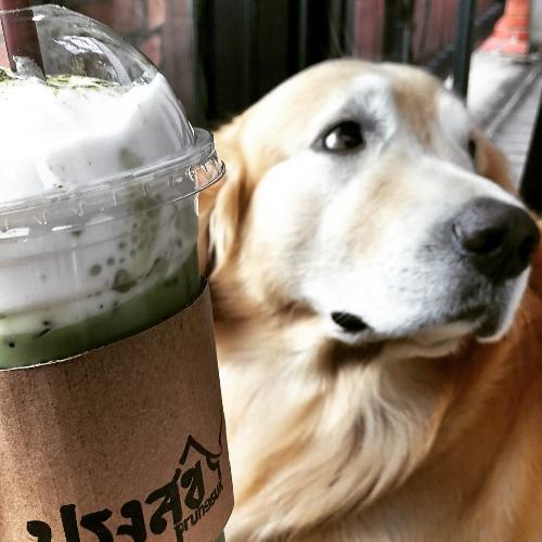 สมาชิกหมายเลข 4845751