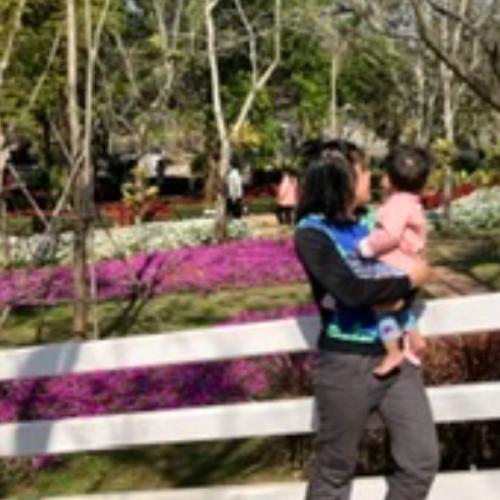 สมาชิกหมายเลข 4598639