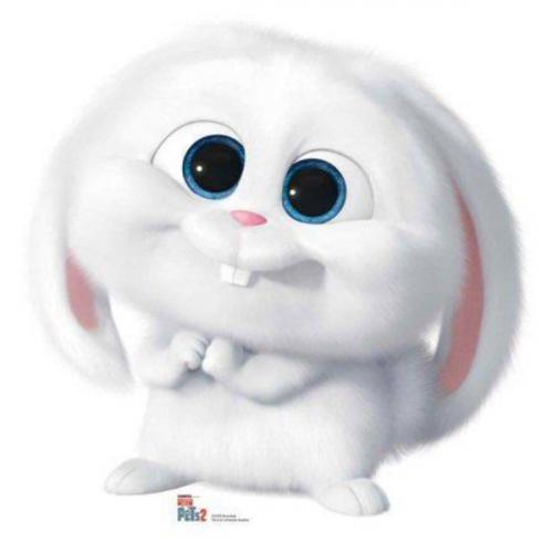 กระต่ายบนยอดเขาหิมะ