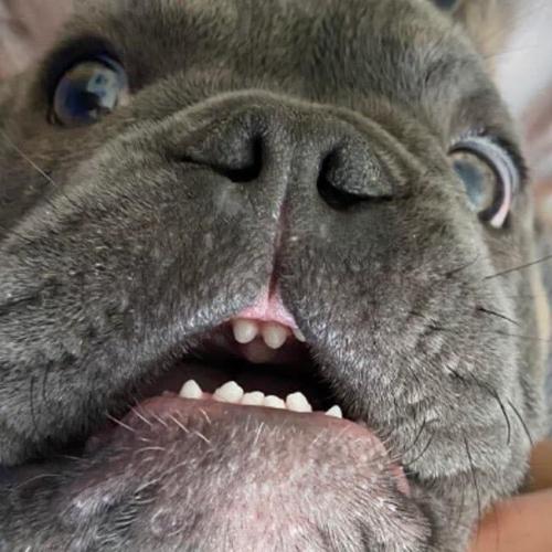 สมาชิกหมายเลข 6233398