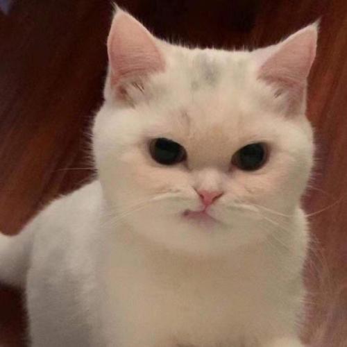 สมาชิกหมายเลข 6886090