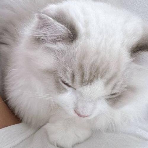 สมาชิกหมายเลข 7541203