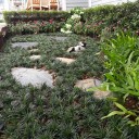 สมาชิกหมายเลข 4060789