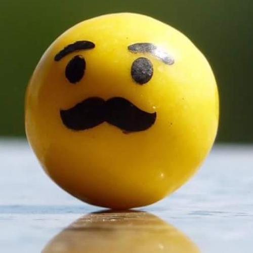 สมาชิกหมายเลข 4312186