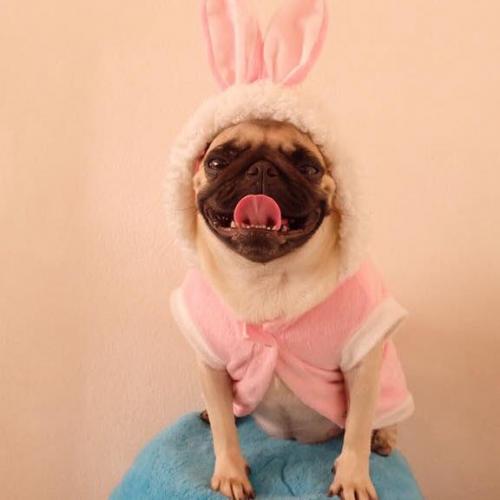 สมาชิกหมายเลข 2405352