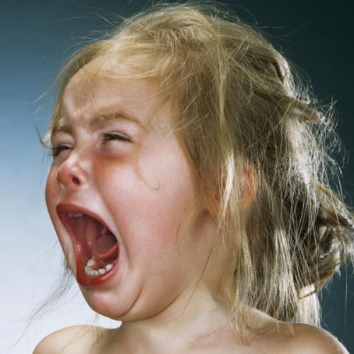 สมาชิกหมายเลข 4227251