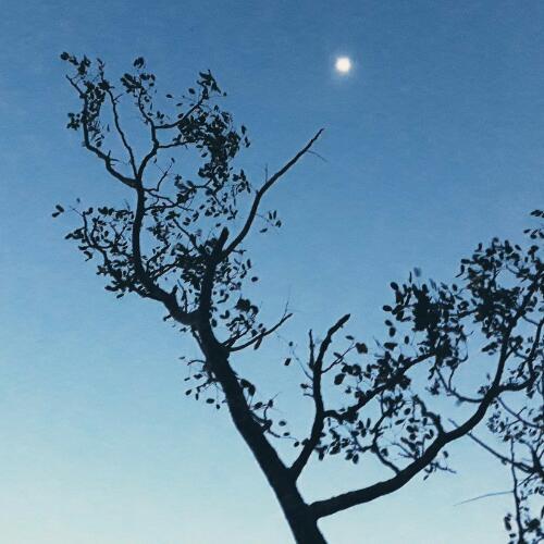 สมาชิกหมายเลข 4846072