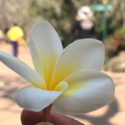 สมาชิกหมายเลข 1607905