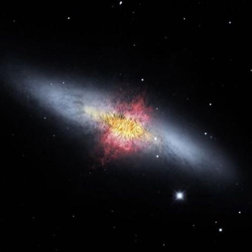 สมาชิกหมายเลข 5233696