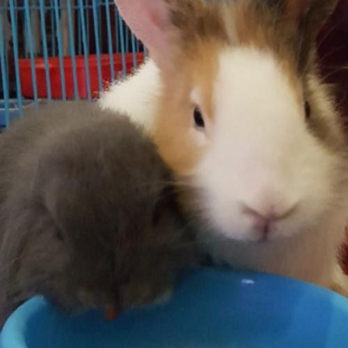 สมาชิกหมายเลข 1919055