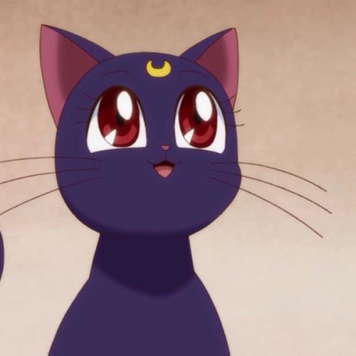 สมาชิกหมายเลข 5226426