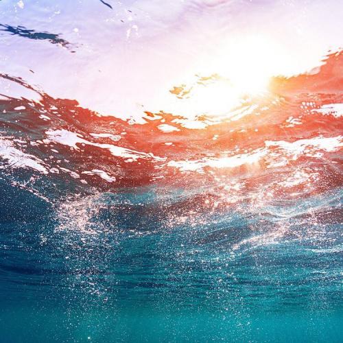 สมาชิกหมายเลข 1471774