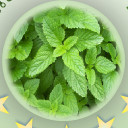 สมาชิกหมายเลข 2607485