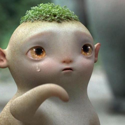 สมาชิกหมายเลข 3372484