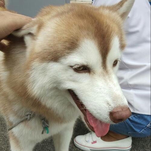 สมาชิกหมายเลข 4359966