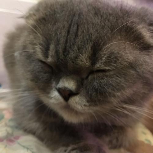 สมาชิกหมายเลข 1592207