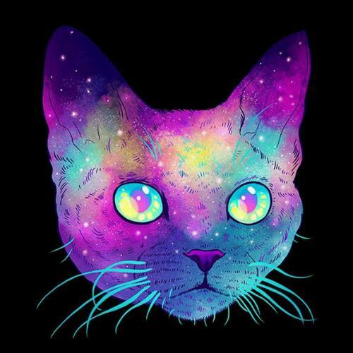 สมาชิกหมายเลข 4497045