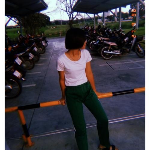 สมาชิกหมายเลข 4846255