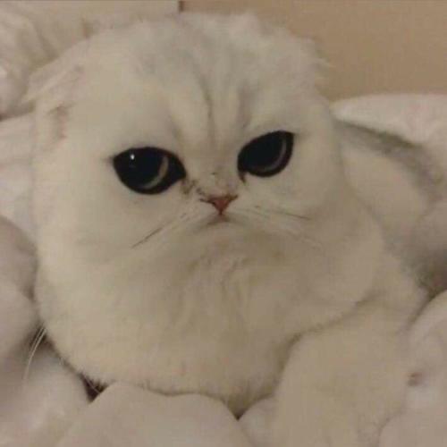 สมาชิกหมายเลข 5230173