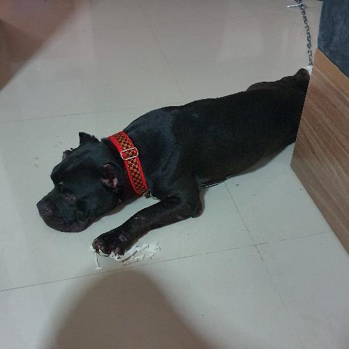 สมาชิกหมายเลข 876953